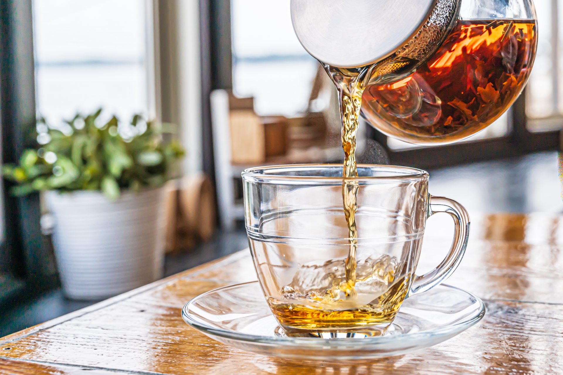 飲食店営業許可